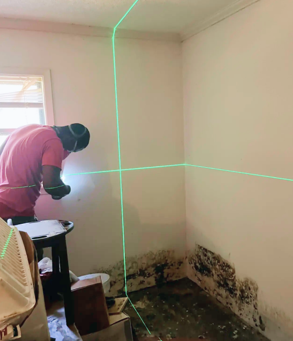 Mold Removal & Remediation slider